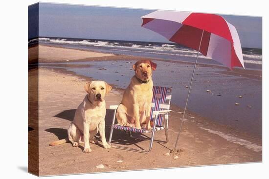 White Labradors at the Beach-null-Stretched Canvas