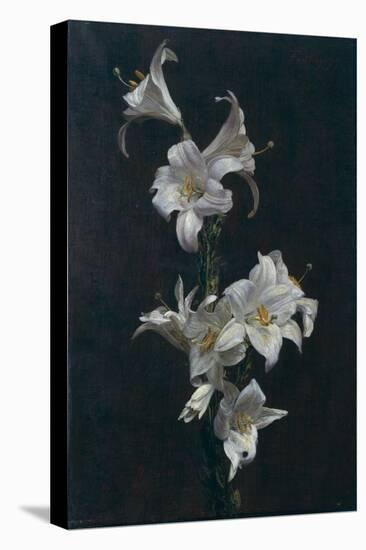 White Lilies, c.1883-Henri Fantin-Latour-Premier Image Canvas