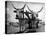 White Long-Horned Steers Teamed Up Like Oxen to Pull a Hay Wagon on the Anyala Farm-Margaret Bourke-White-Premier Image Canvas