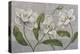 White Magnolia-John Zaccheo-Premier Image Canvas