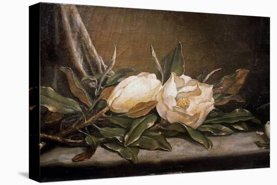 White Magnolias on a Blue Cloth-Martin Johnson Heade-Premier Image Canvas