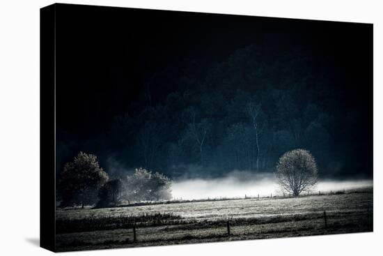 White Mist-Philippe Sainte-Laudy-Premier Image Canvas