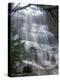 White Mountain Waterfalls-Jim Cole-Premier Image Canvas