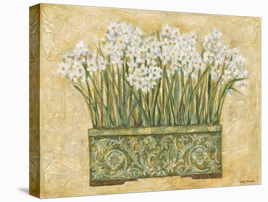White Narcissus-Eva Misa-Stretched Canvas