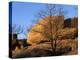 White Oak and boulders, Elephant Rocks State Park, Missouri, USA-Charles Gurche-Premier Image Canvas
