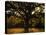 White Oak Tree, Great Smoky Mountains National Park, Cades Cove, Tennessee, USA-Adam Jones-Premier Image Canvas