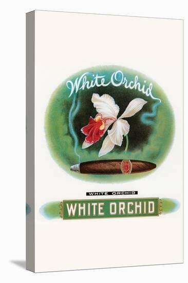 White Orchid-null-Stretched Canvas