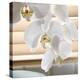 White Orchids II-Nicole Katano-Stretched Canvas