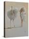 White Ostrich Ballet-Lincoln Seligman-Premier Image Canvas