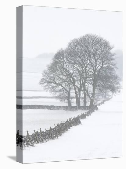 White Out-Doug Chinnery-Premier Image Canvas