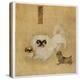 White Pekingese Dog and Puppies as Depicted in an Imperial Dog Book-null-Premier Image Canvas