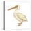 White Pelican (Pelecanus Erythrorhynchos), Birds-Encyclopaedia Britannica-Stretched Canvas