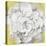 White Peonia Yellow Version-Asia Jensen-Stretched Canvas