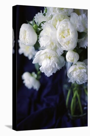 White Peonies in a Vase-Anna Miller-Premier Image Canvas