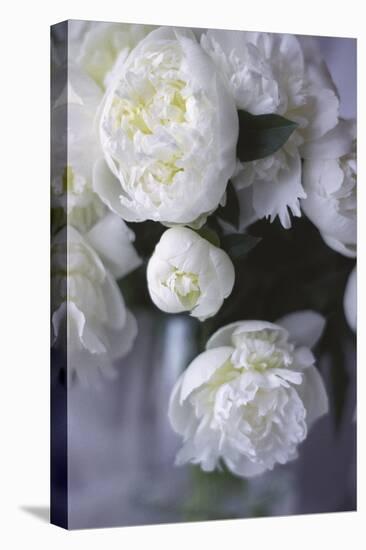 White Peonies in a Vase-Anna Miller-Premier Image Canvas