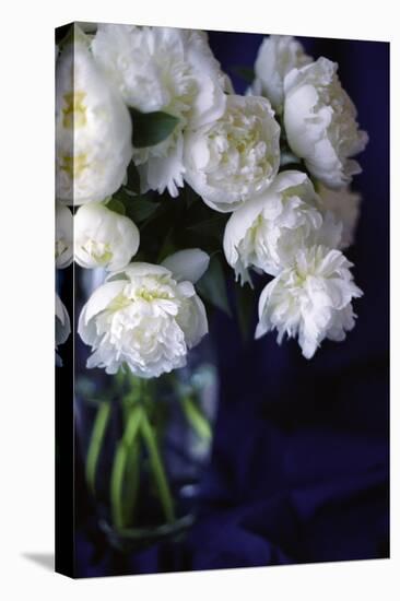 White Peonies in a Vase-Anna Miller-Premier Image Canvas