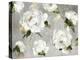 White Peony Garden-Asia Jensen-Stretched Canvas