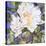 White Peony-Sharon Pitts-Premier Image Canvas