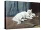 White Persian Cat with Her Kittens-Arthur Heyer-Premier Image Canvas