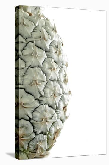 White Pineapple-Neal Grundy-Premier Image Canvas