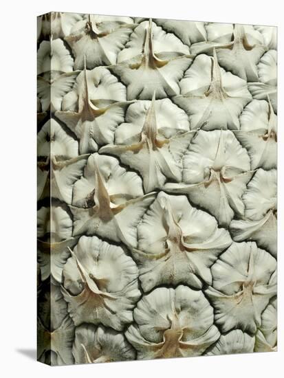 White Pineapple-Neal Grundy-Premier Image Canvas