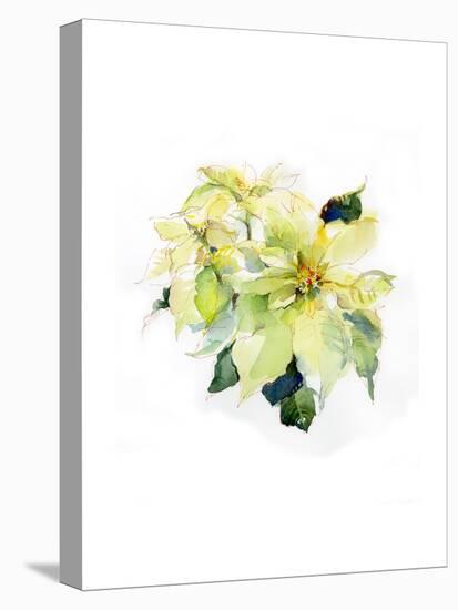 White Poinsettia, 2014-John Keeling-Premier Image Canvas