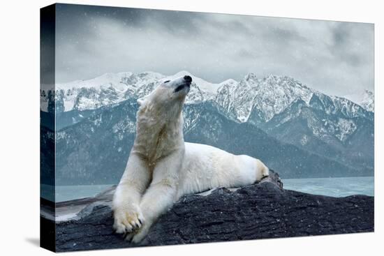 White Polar Bear on the Ice-yuran-78-Premier Image Canvas