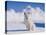 White Puppy in Snow-null-Premier Image Canvas