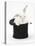 White Rabbit in a Black Top Hat-Mark Taylor-Premier Image Canvas