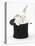 White Rabbit in a Black Top Hat-Mark Taylor-Premier Image Canvas