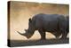 White rhinoceros (Ceratotherium simum), Kalahari, Botswana, Africa-Sergio Pitamitz-Premier Image Canvas