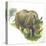 White Rhinoceros Ceratotherium Simum-null-Premier Image Canvas
