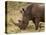 White Rhinoceros (Cerototherium Simium), Masai Mara, Kenya, East Africa, Africa-Sergio Pitamitz-Premier Image Canvas