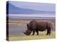 White Rhinoceros, Lake Nakuru National Park, Kenya-Gavriel Jecan-Premier Image Canvas