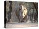 White Rhinoceros Mother And Calf-Peter Chadwick-Premier Image Canvas