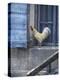 White Rooster on Window Ledge-Joerg Lehmann-Premier Image Canvas