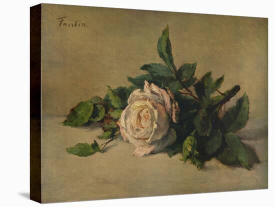 'White Rose', c1863, (1938)-Henri Fantin-Latour-Premier Image Canvas