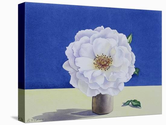 White Rose-Christopher Ryland-Premier Image Canvas