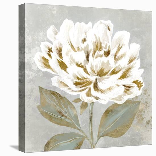 White Sage II-Aria K-Stretched Canvas