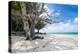 White sand and turquoise water at Laura (Lowrah) beach, Majuro atoll, Majuro, Marshall Islands, Sou-Michael Runkel-Premier Image Canvas