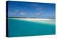 White sand beach and palm fringed beach in Aitutaki lagoon, Rarotonga and the Cook Islands, South P-Michael Runkel-Premier Image Canvas