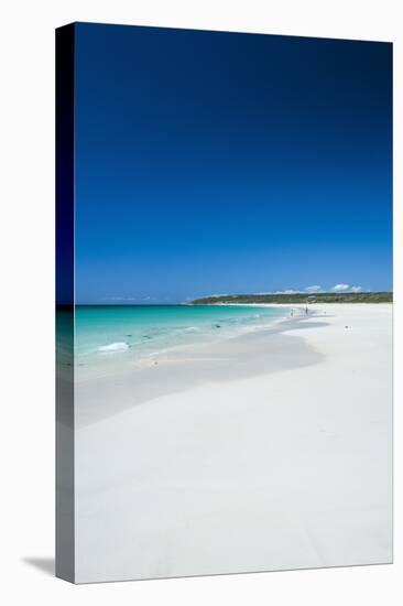 White Sand Beach and Turquoise Waters-Michael-Premier Image Canvas