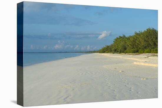 White sand beach at sunset, Ouvea, Loyalty Islands, New Caledonia, Pacific-Michael Runkel-Premier Image Canvas