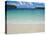 White Sand Beach, Bay de Kanumera, Ile Des Pins, New Caledonia, Melanesia, South Pacific, Pacific-Michael Runkel-Premier Image Canvas