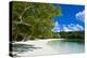 White Sand Beach, Bay De Kanumera, Ile Des Pins, New Caledonia, South Pacific-Michael Runkel-Premier Image Canvas