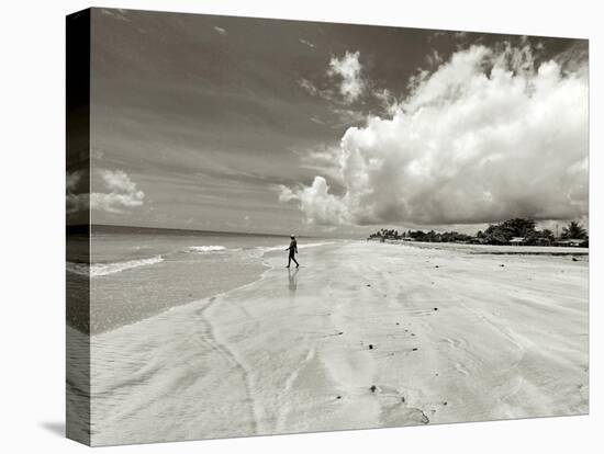 White Sand Beach, Ilha De Itamaraca, Pernambuco, Brazil-Anthony Asael-Premier Image Canvas