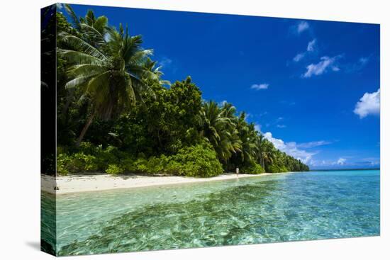 White Sand Beach in Turquoise Water in the Ant Atoll, Pohnpei, Micronesia-Michael Runkel-Premier Image Canvas