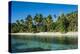 White Sand Beach, Nanuya Lailai Island, Blue Lagoon, Yasawa, Fiji, South Pacific-Michael Runkel-Premier Image Canvas