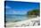White sand beach on the north coast of Efate, Vanuatu, Pacific-Michael Runkel-Premier Image Canvas