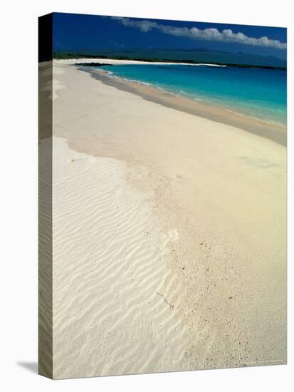 White Sand Beach, San Cristobal Island, Galapagos Islands, Ecuador-Jack Stein Grove-Premier Image Canvas